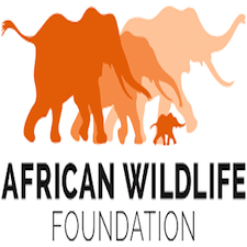 African Wildlife Foundation