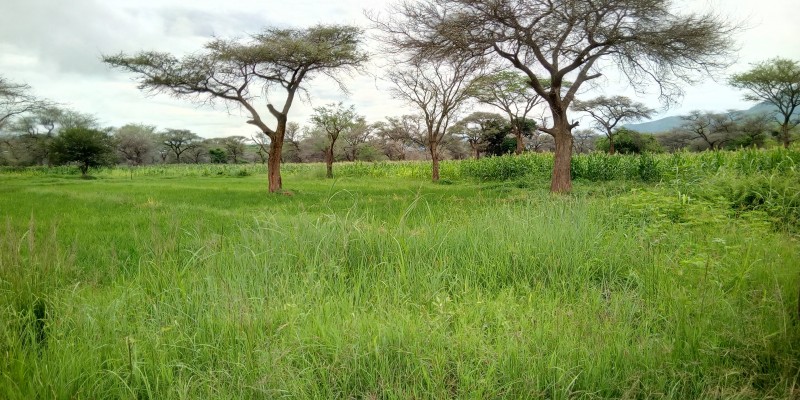 Mkutano wa Kamati ya Kisekta ya Matumizi ya Ardhi