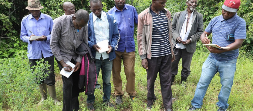 Mpima Ardhi wa Tume ya Taifa ya Mipango ya Matumizi ya Ardhi Bw. Emmanuel Kasitila akiwaongoza wajumbe kutoka vijiji vya Iramba Ndogo na Sungu kupima mpaka baina ya vijiji hivyo.