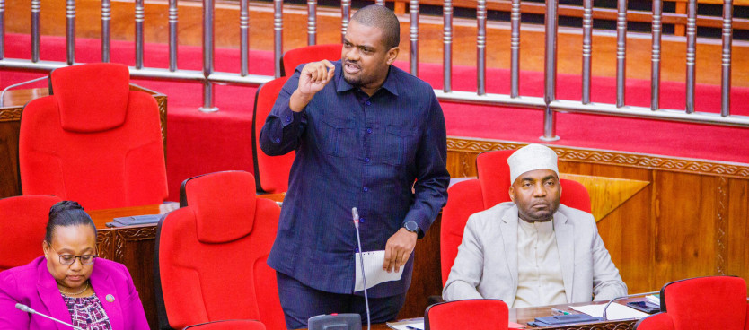 Waziri wa Ardhi, Nyumba na Maendeleo ya Makazi Mhe. Deogratius Ndejembi akichangia taarifa ya Kamati ya Kudumu ya Bunge ya Ardhi, Maliasili na Utalii kuhusu shughuli za Kamati hiyo kwa kipindi cha Februari 2024 hadi Januari 2025